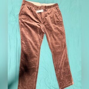 Democratic Foundation Pant in Espresso Cord